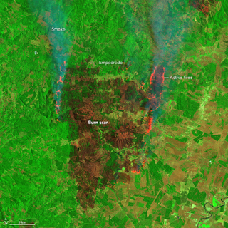 Wildfires left a massive burn scar near Empedrado, Chile, which was captured on January 24, 2017 by NASA’s Landsat 8 satellite. Image: NASA Earth Observatory